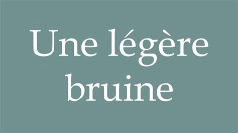 bruine synonyme|bruine in french.